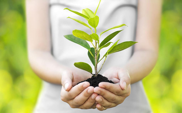 Sustainable growth often comes from nurturing what is already working.